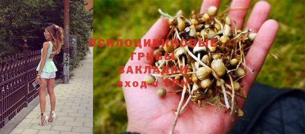 трава Алексеевка
