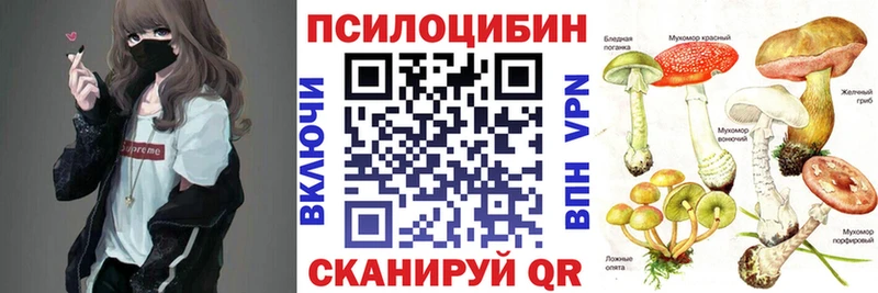 Галлюциногенные грибы Psilocybine cubensis  Чаплыгин 